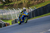 Oulton-Park-20th-March-2020;PJ-Motorsport-Photography-2020;anglesey;brands-hatch;cadwell-park;croft;donington-park;enduro-digital-images;event-digital-images;eventdigitalimages;mallory;no-limits;oulton-park;peter-wileman-photography;racing-digital-images;silverstone;snetterton;trackday-digital-images;trackday-photos;vmcc-banbury-run;welsh-2-day-enduro